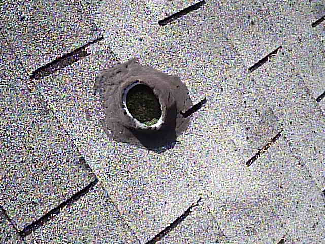 Bird nest in vent pipe